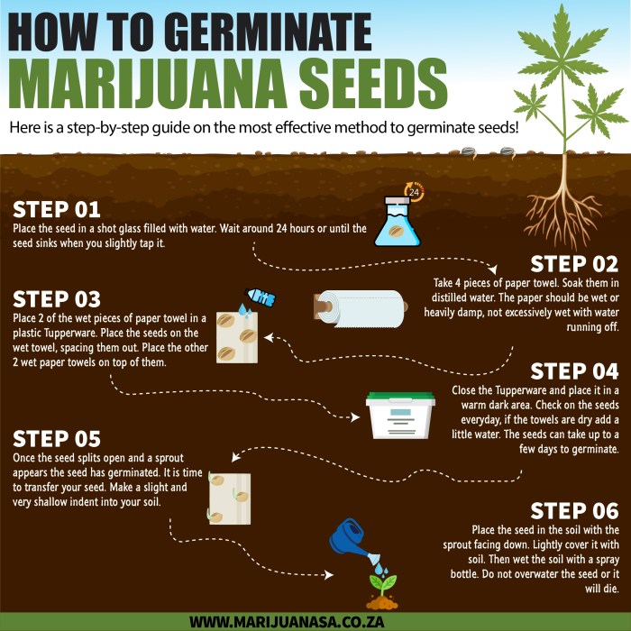 How deep do seeds need to be planted