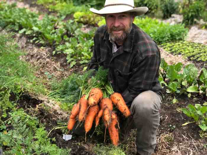 How deep do i plant carrot seeds