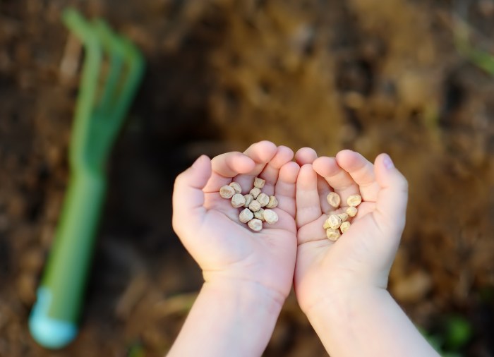 How deep should vegetable seeds be planted