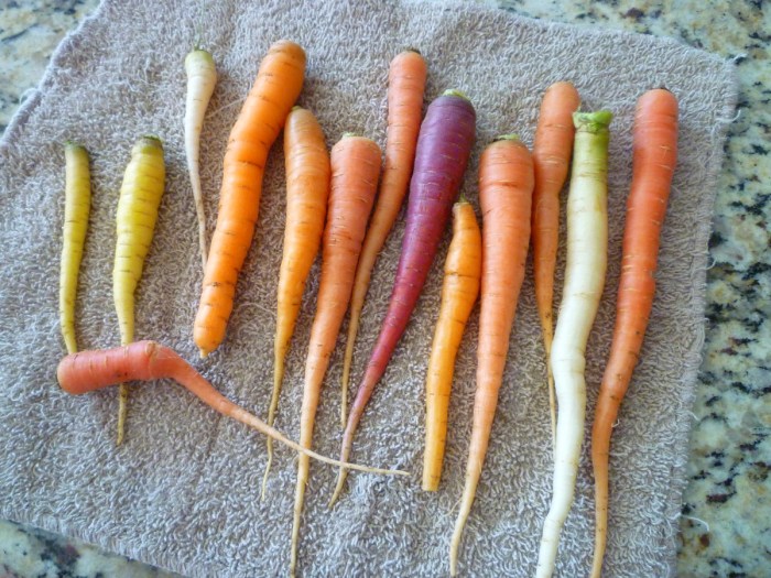 How deep plant carrot seeds