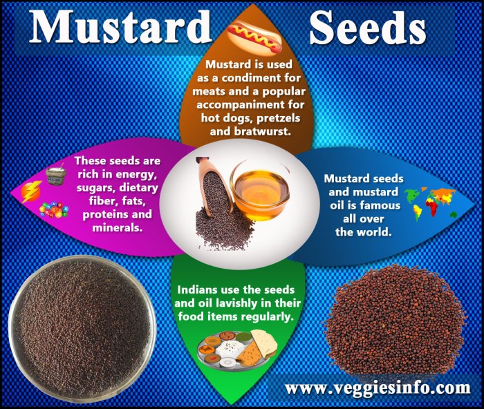 How big does a mustard seed plant grow