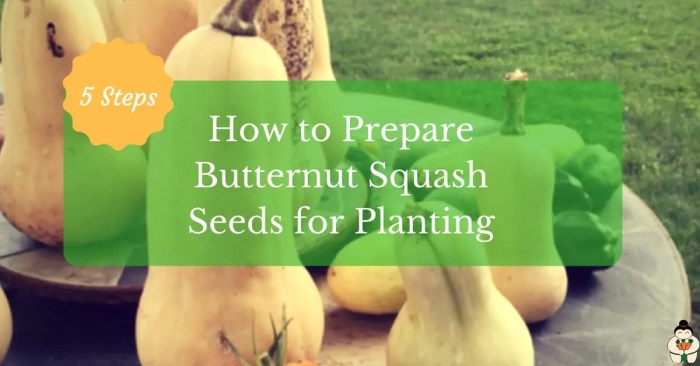 How deep do you plant butternut squash seeds