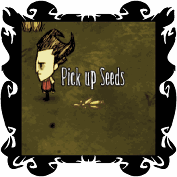 Don't starve how to plant seeds