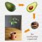 How and When to Plant Avocado Seed