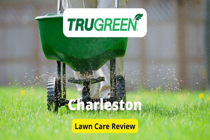 Does trugreen plant grass seed