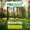 Does TruGreen Plant Grass Seed?