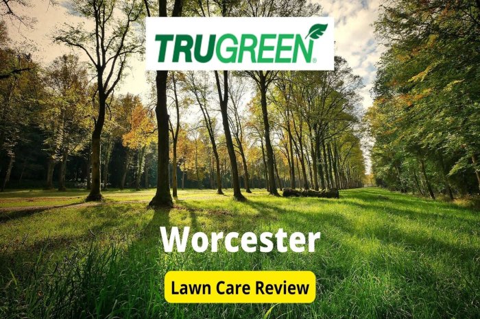 Does trugreen plant grass seed